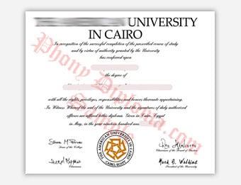 The American University in Cairo - Fake Diploma Sample from Egypt